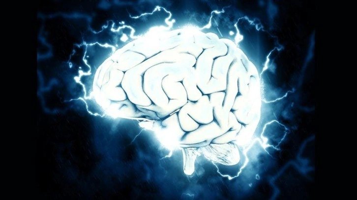 Bilim insanları beyindeki 'iç pusula'nın nasıl çalıştığını tespit etti