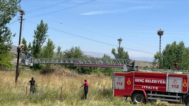 Bingöl'de itfaiye ekibi yıkılan leylek yuvasını onardı