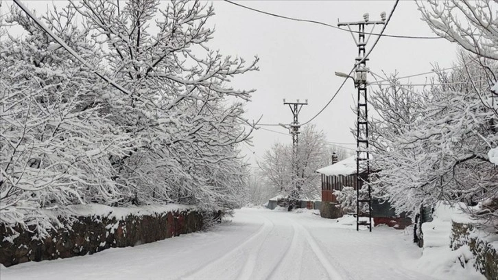 Bingöl'de kar nedeniyle 10 köy yolu ulaşıma kapandı