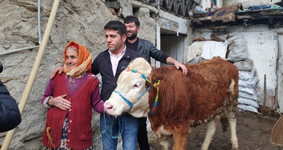 Bir istedi, beş ineği oldu |Sabiha nine hayırseverlere ve Cumhurbaşkanı Erdoğan’a teşekkür etti