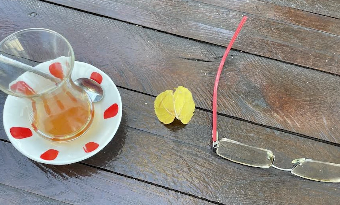 Bir kadın bir masa bir dönüş -Arzu Leyal yazdı-