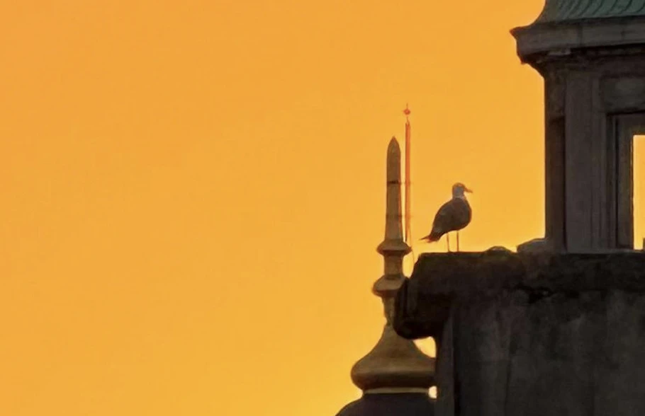 Biraz dur! -Arzu Leyal yazdı-