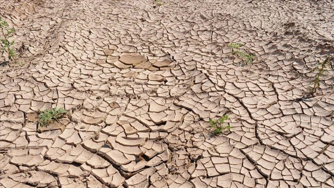 BM'den iklim değişikliğinin 2050'ye kadar 80 milyon kişiyi daha açlığa itebileceği uyarısı