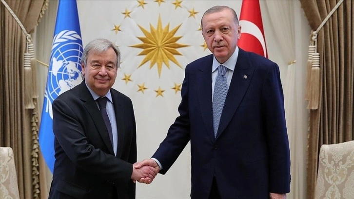 BM: Erdoğan ve Guterres'in görüşmesi, tahılı küresel pazara ulaştırmanın yollarına odaklandı