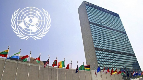 BM İnsan Hakları Konseyi'ne yeni 15 üye