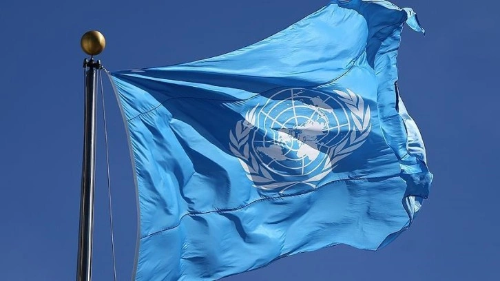 BM raportörlerinden, üye ülkelere 