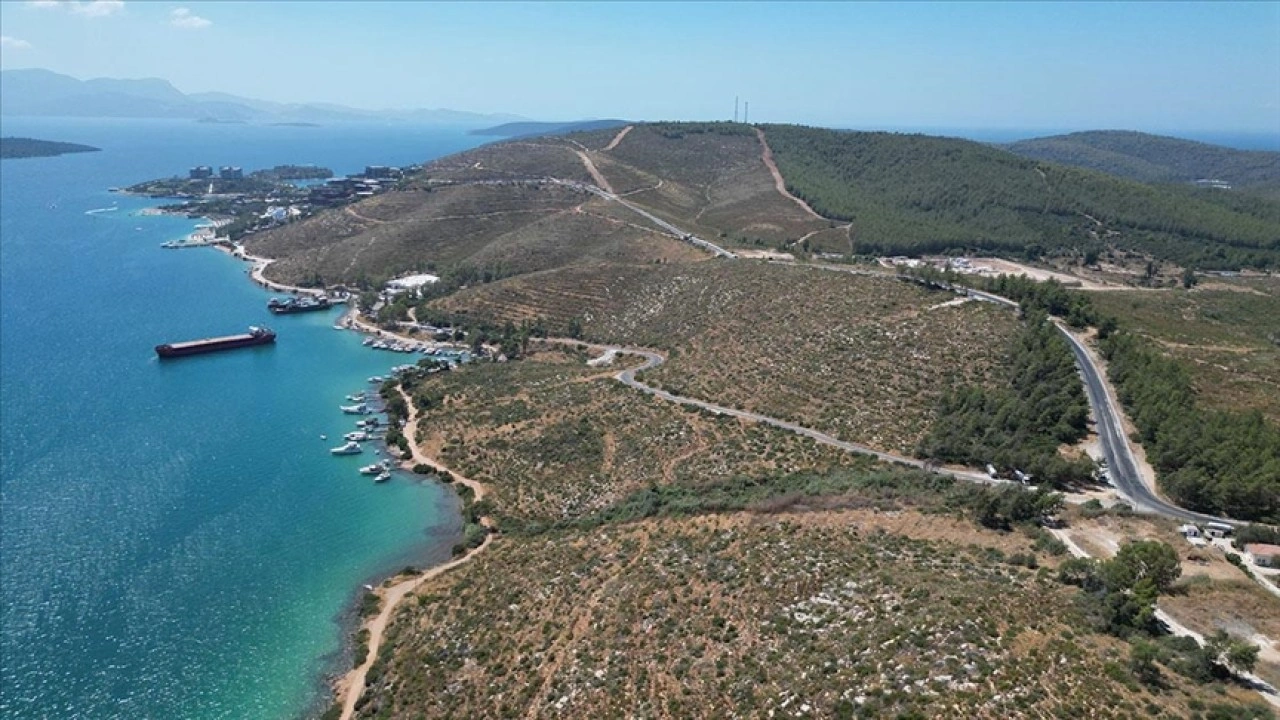 Bodrum Güvercinlik'te 4 yıl önce yanan alanlar dikilen fidanlarla yeşeriyor