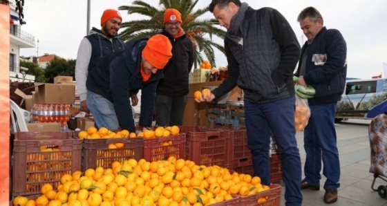 Bodrum mandalina şenliği