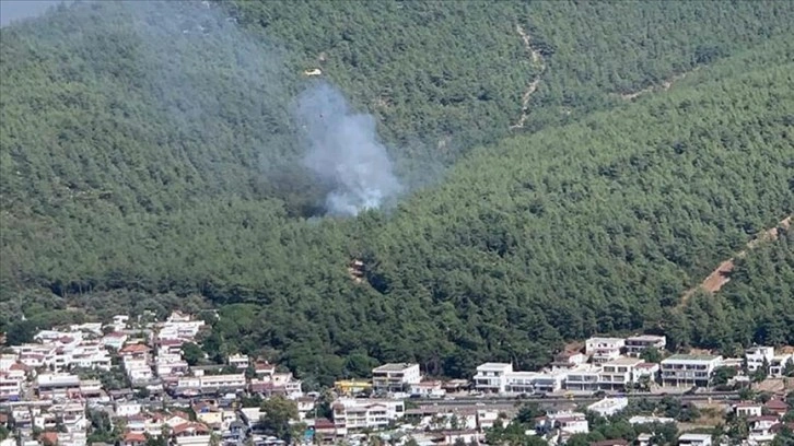 Bodrum'da çıkan orman yangınına müdahale ediliyor