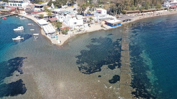 Bodrum'da denizin çekilmesiyle Tavşan Adası'na uzanan tarihi surlar ortaya çıktı