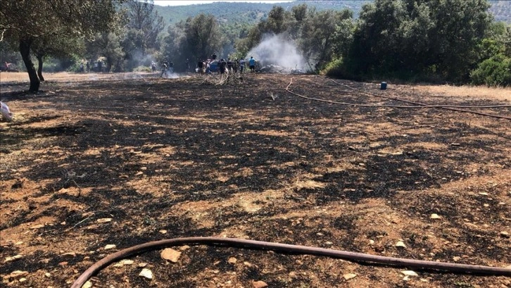 Bodrum'da zeytinlikte çıkan yangın ormanlık alana sıçramadan söndürüldü