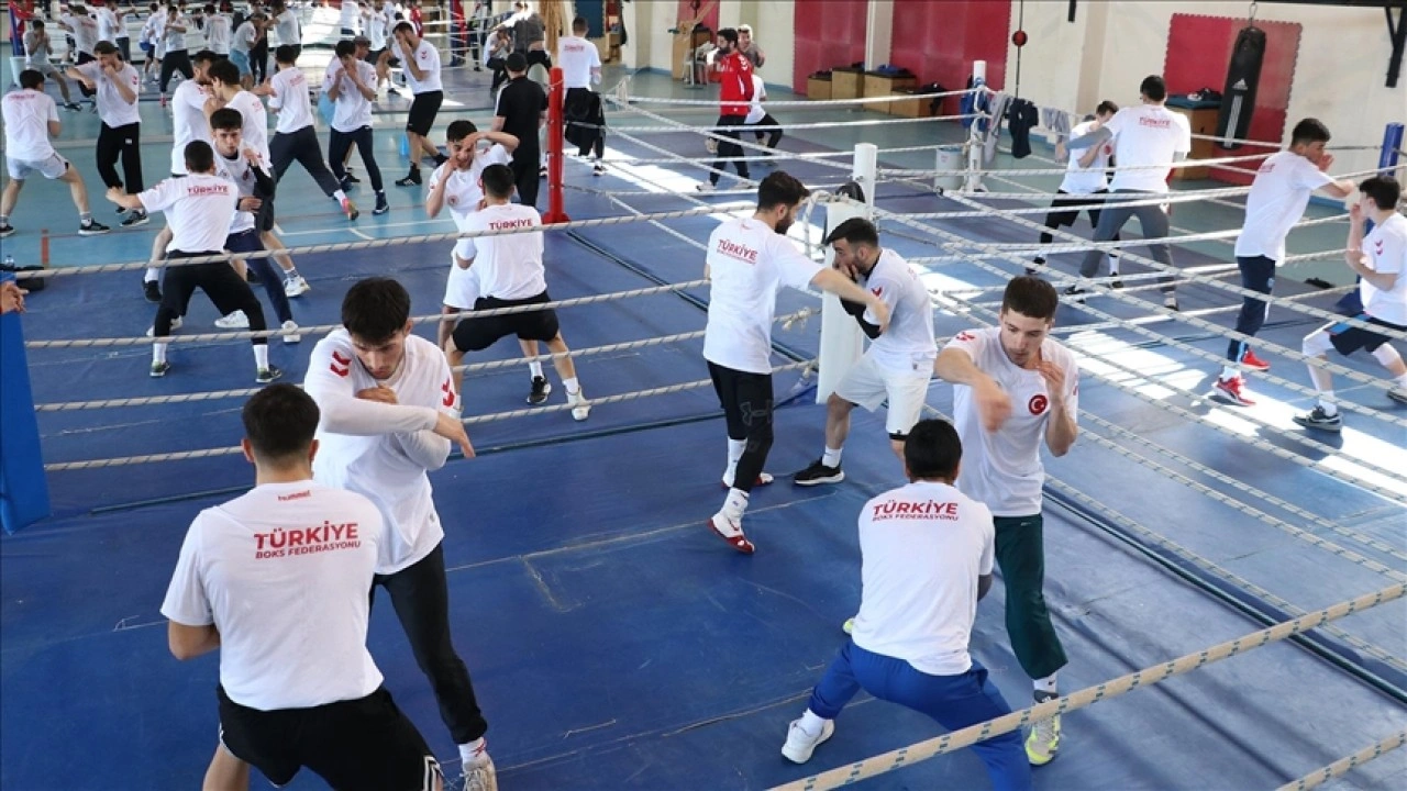 Boksta kalabalık kamplarla en iyi kadro oluşturulmaya çalışılıyor
