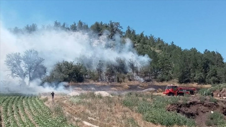 Bolu'da çıkan orman yangınına ekiplerce müdahale ediliyor