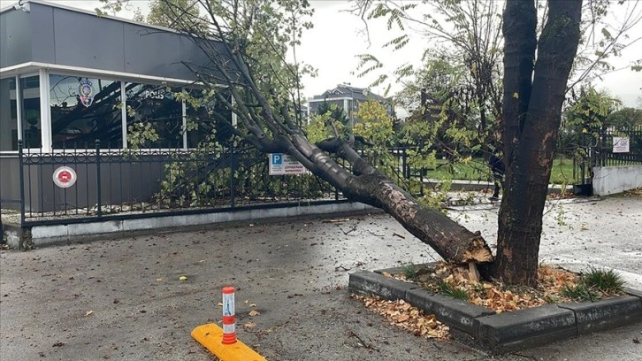 Bolu'da rüzgarda devrilen ağaç polis noktasının üzerine düştü
