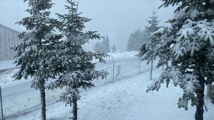 Bolu'nun yüksek kesimlerinde nisanda kar etkili oldu