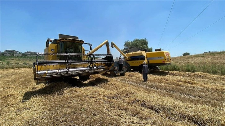 Buğday ve arpa fiyatları Çukurova'daki çiftçilerin beklentisini karşıladı