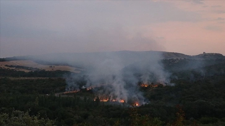 Bulgaristan'da askerler patlayıcı madde imha ederken orman yangını çıktı