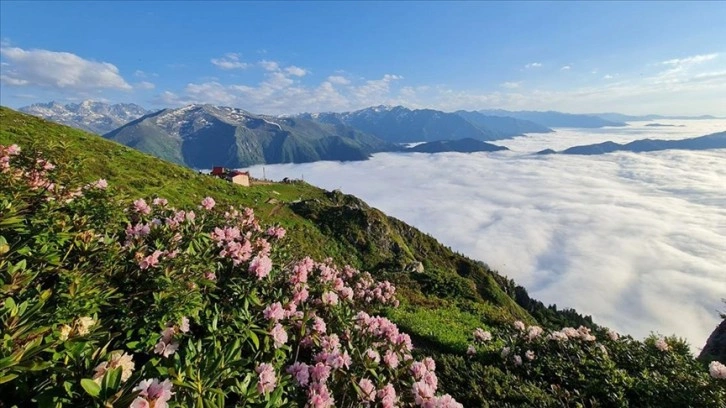 Bulutların üzerindeki Huser Yaylası doğa tutkunlarını ağırlıyor