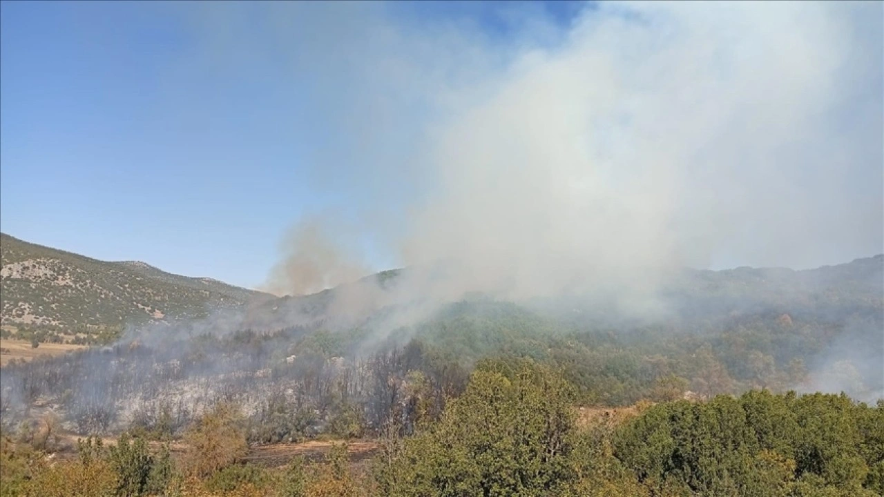 Burdur'da ormanlık alanda çıkan yangına müdahale ediliyor
