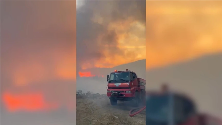 Bursa'da orman yangını çıktı