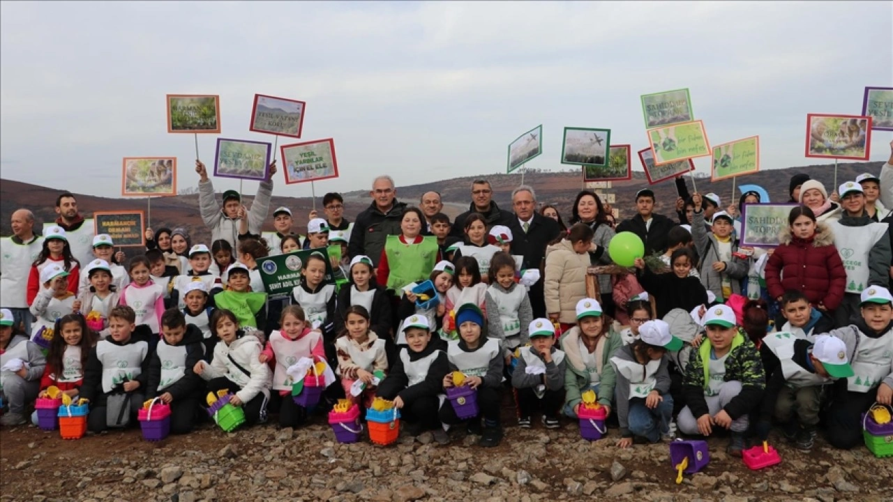 Bursa'da yanan alanların yeniden yeşillenmesi için tohum atıldı