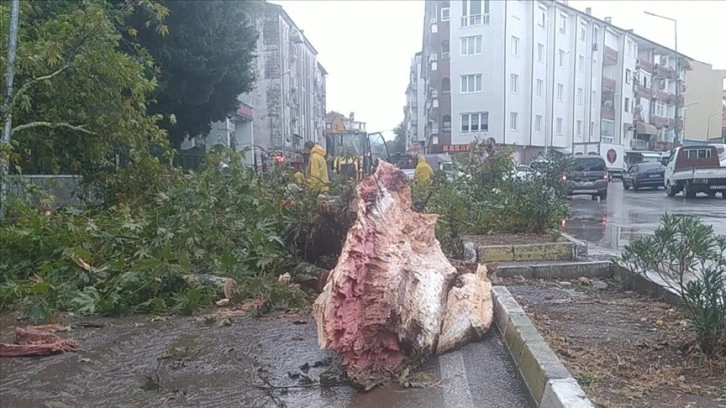 Bursa ve Yalova'da sağanak hayatı olumsuz etkiledi