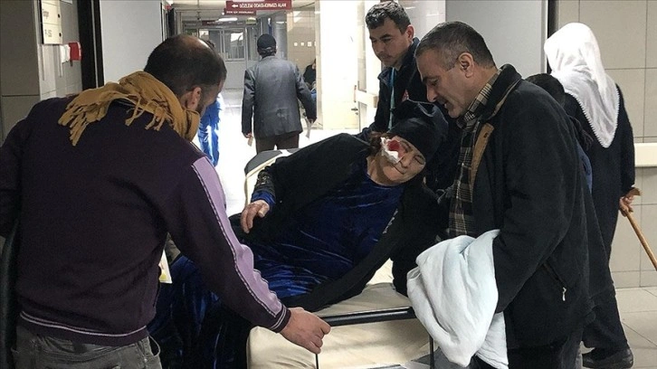 Bursa'da sahipsiz köpeklerin saldırısına uğrayan yaşlı kadın yaralandı