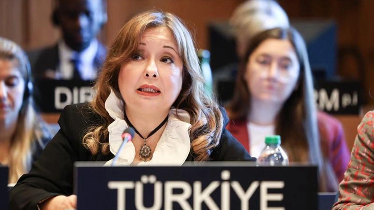 Büyükelçi Aybet, İsrail'in BM kararıyla kurulan UNRWA'yı yasaklamaya hakkı olmadığını beli