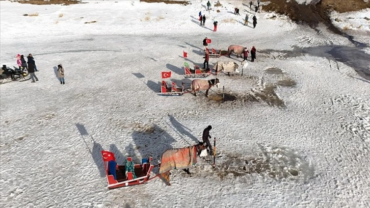 Buzla kaplı Çıldır Gölü'ne gelen turistler halay çekip atlı kızakla gezinti yaptı