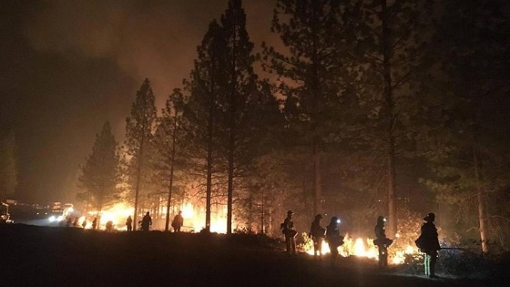 California'daki yangında ölenlerin sayısı 79'a yükseldi