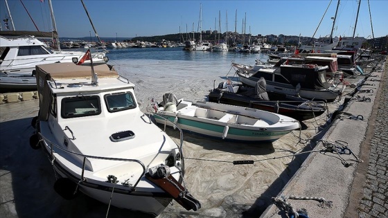 Çanakkale Boğazı ve Gemlik Körfezi'nde müsilaj etkisini sürdürüyor