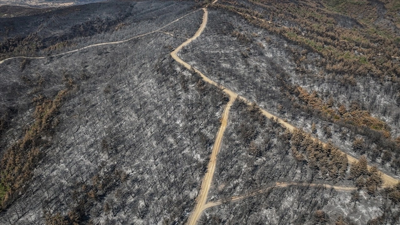 Çanakkale'de 118 orman yangınında 7 bin 39 hektar alan zarar gördü