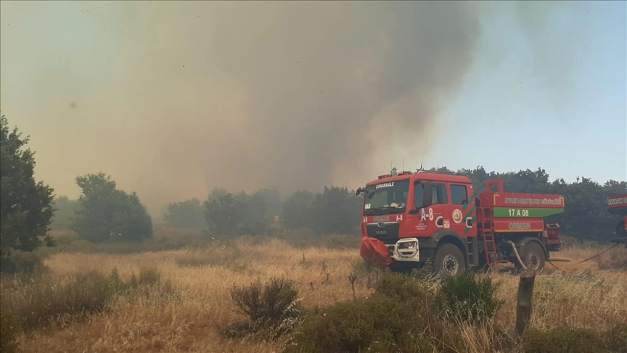 Çanakkale'de tarım arazisinde başlayıp ormana sıçrayan yangın kontrol altına alındı