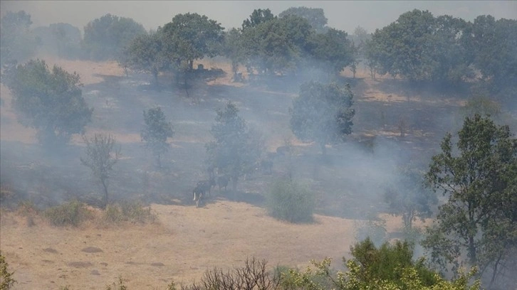 Çanakkale'de çıkan yangın tarım arazisinde zarara sebep oldu