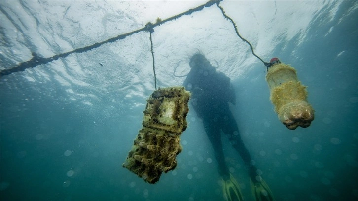 Çanakkale'de denizlerde kirlenmeye dikkati çeken 'Dijital Okyanus Tüneli' kurulacak