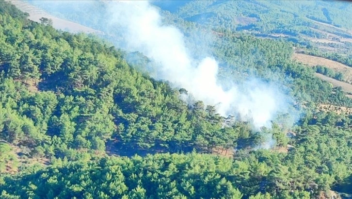 Çanakkale'deki orman yangını kontrol altına alındı