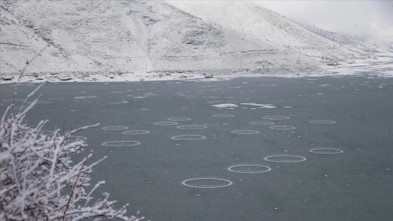 &Ccedil;at Barajı'ndaki "y&uuml;zen adalar" buz tuttu