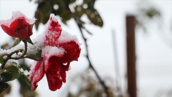 Çatalca ve Silivri'de kar yağışı