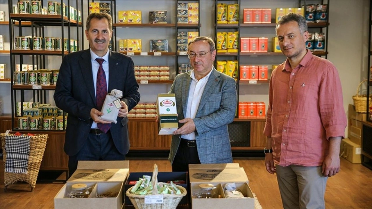 ÇAYKUR ihracatı artırmayı hedefliyor