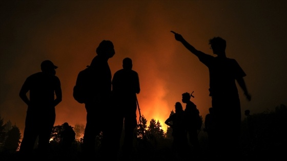 Cezayir'de 42 kişinin ölümüyle sonuçlanan orman yangınlarında bilanço ağırlaşıyor