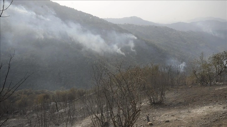 Cezayir’deki orman yangınlarında 2 kadın hayatını kaybetti