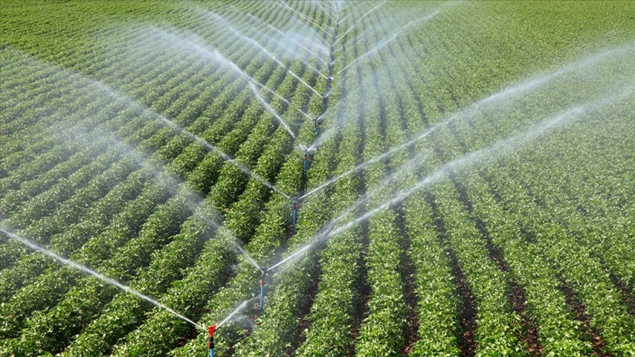 Çiftçilere 306 milyon 541 bin 763 lira tarımsal destek ödemesi bugün yapılacak