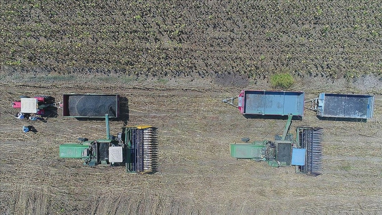 Çiftçilere yaklaşık 2,8 milyar lira destekleme ödemesi bugün yapılacak
