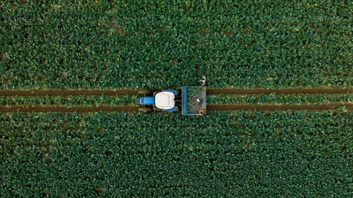 Çiftçilere yaklaşık 2,5 milyar liralık tarımsal destek ödemesi bugün yapılacak