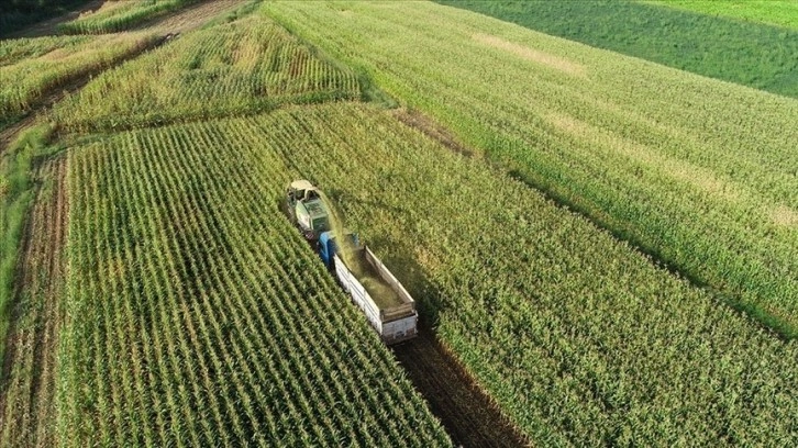 Çiftçilere yaklaşık 49,5 milyon liralık tarımsal destek ödemeleri bugün yapılacak