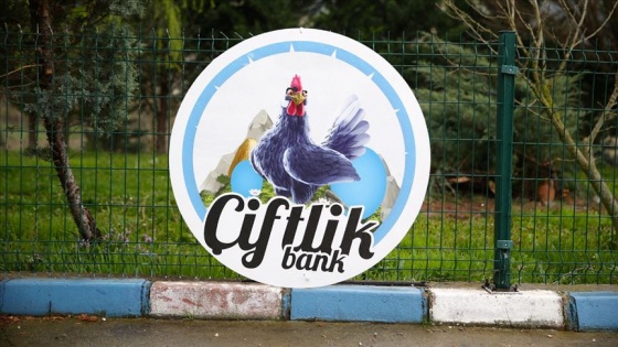 Çiftlik Bank iddianamesinin detayları ortaya çıktı