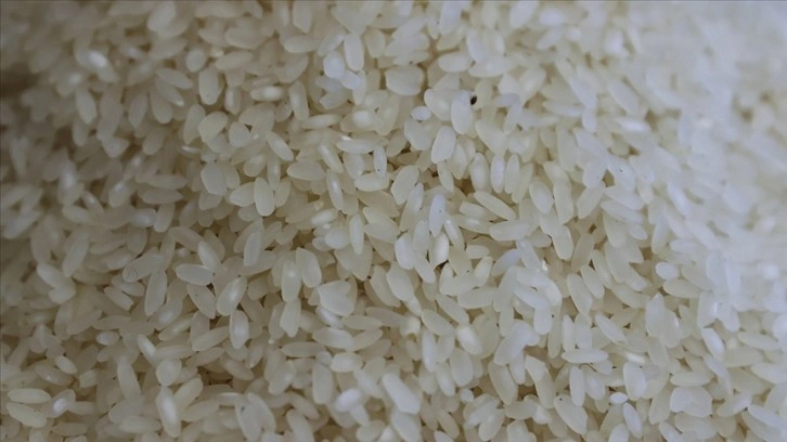 Çinli araştırmacılar, pirincin genetik haritasını çıkardı