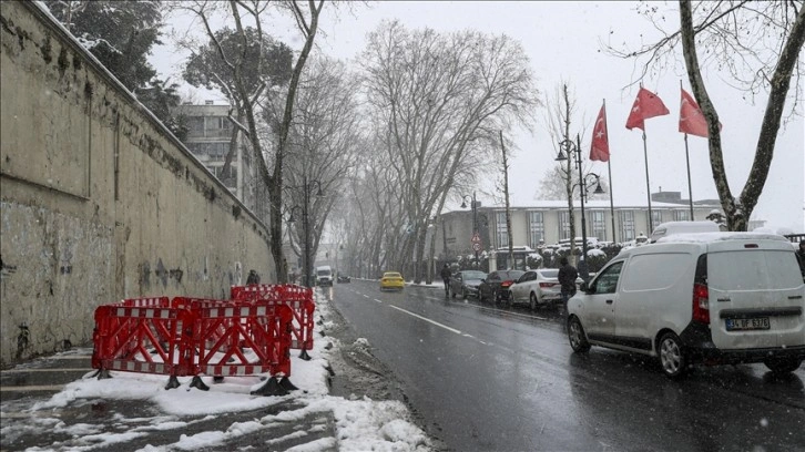 Çırağan Caddesi'ndeki çınar ağaçlarının ihmalden kuruduğu iddiası