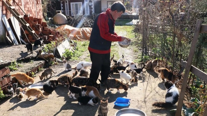Çocuğu gibi gördüğü 50'den fazla kedi için köyünden ayrılmıyor