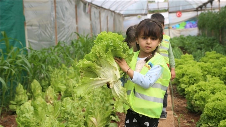 'Çocuk serası'nda yetişen ürünler depremzedelere aş oluyor